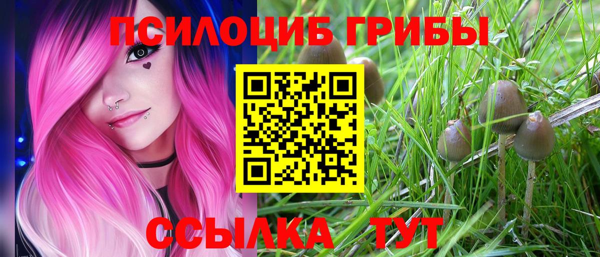 Галлюциногенные грибы Psilocybine cubensis Среднеуральск